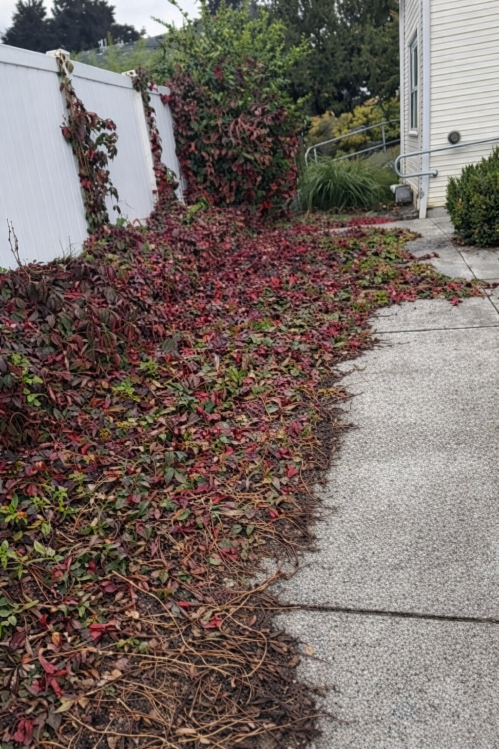 Parking lot after pressure washing